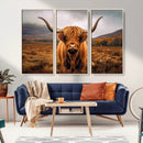 Highland Cow Longhorn Wall Art – Rustic Canvas Print, Framed