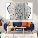 Rustic Tree Ring Wall Art Canvas Print – Framed and Ready to