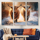 Scottish Highland Cow Horn Farm Wall Art Canvas Print