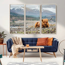 Highland Cow Horn Farm Wall Art Canvas Print