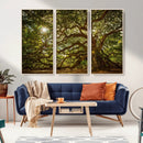Ancient Angel Oak Tree Art Sunburst Canvas Print-