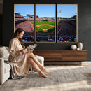 Cincinnati Reds Baseball Canvas Print - American Ball
