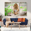 Leopard on the Prowl - Stunning Large Framed Leopard Wall
