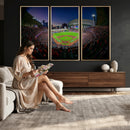 Houston Astros Baseball Print Canvas - Houston Minute Maid