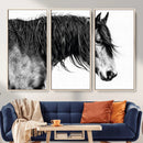 Majestic Horse Wall Art – Framed Black White Portrait Canvas by MyGreatCanvas | Canvas Wall Art Prints | Photo Prints & Wall Decor
