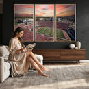 Indiana Memorial Stadium Wall Art Canvas Print, Framed