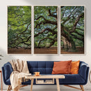 Historic Tree Wall Art – Framed Mossy Branch Canvas Artwork, by MyGreatCanvas | Canvas Wall Art Prints | Photo Prints & Wall Decor