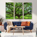 Ancient Tree Wall Art Canvas Print, Framed Sprawling by MyGreatCanvas | Canvas Wall Art Prints | Photo Prints & Wall Decor