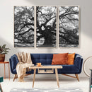 Ancient Oak Wall Art Canvas Print – Gnarled Tree Twisted
