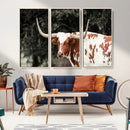 Texas Longhorn Wall Art Canvas Print – Framed Spotted Bull