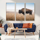 Wild Bison Wall Art – Framed Prairie Landscape Canvas by MyGreatCanvas | Canvas Wall Art Prints | Photo Prints & Wall Decor