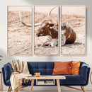 Texas Longhorn Wall Art Canvas Print – Framed Resting Bull by MyGreatCanvas | Canvas Wall Art Prints | Photo Prints & Wall Decor