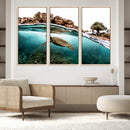 Sea Turtle Wall Art Canvas Print – Framed Ocean Life