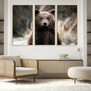 Brown Bear Wall Art Canvas Print – Framed Majestic Woodland
