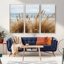 Beach Grass Wall Art – Framed Coastal Dunes Canvas Artwork, by MyGreatCanvas | Canvas Wall Art Prints | Photo Prints & Wall Decor