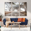 Cypress Tunnel Wall Art – Framed Misty Road Canvas Artwork, by MyGreatCanvas | Canvas Wall Art Prints | Photo Prints & Wall Decor