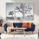 Joshua Trees Wall Art Canvas Print – Framed Black White