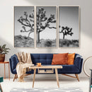 Joshua Tree Wall Art Canvas Print – Framed Monochrome Desert