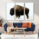 Bison Wall Art Canvas Print – Framed Western Wildlife