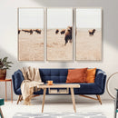 Bison Herd Wall Art Canvas Print – Framed Western Prairie