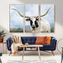 Texas Longhorn Wall Art Canvas Print – Framed Western Rustic