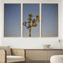 Joshua Tree Wall Art Canvas Print – Framed Southwestern