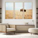 Buffalo Wall Art Canvas Print – Framed Western Wildlife by MyGreatCanvas | Canvas Wall Art Prints | Photo Prints & Wall Decor