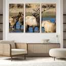 Wild Elk Wall Art Canvas Print – Framed Neutral Wildlife