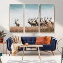 Elk Herd Wall Art Canvas Print – Framed Wildlife Photography