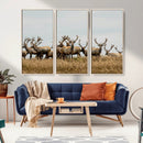 Elk Herd Wall Art Canvas Print – Framed Wildlife Photography