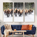 American Bison Herd Wall Art Canvas Print – Powerful Winter by MyGreatCanvas | Canvas Wall Art Prints | Photo Prints & Wall Decor