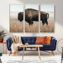 American Bison Wall Art Canvas Print – Majestic Buffalo