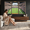 Chicago Bears Soldiers Field Wall Art Canvas Print – Framed