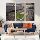 Chicago Bears Soldiers Field Wall Art Canvas Print – Framed