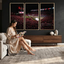 William Brice Stadium Wall Art Print – Baseball Game Room
