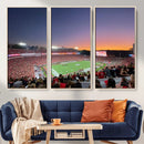 Dooley Stadium Wall Art, Sports Arena Canvas Print, Dooley by MyGreatCanvas | Canvas Wall Art Prints | Photo Prints & Wall Decor