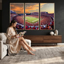 Dooley Stadium Wall Art, Sports Arena Canvas Print, Dooley