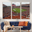 Jordan-Hare Stadium Wall Art Canvas Print, College Sports by MyGreatCanvas | Canvas Wall Art Prints | Photo Prints & Wall Decor