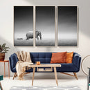 Elephand and Zebra Wall Art Canvas Print, Modern Artwork