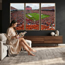 Auburn Stadium Wall Art Canvas Print, Jordan Hare Stadium