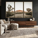 Joshua Tree Desert Wall Art Canvas Print, Minimal by MyGreatCanvas | Canvas Wall Art Prints | Photo Prints & Wall Decor