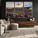Donald W. Reynolds Razorback Stadium Wall Art Canvas Print – by MyGreatCanvas | Canvas Wall Art Prints | Photo Prints & Wall Decor
