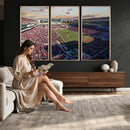 Ole Miss Rebels Vaught Hemingway Stadium Wall Art Canvas