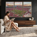 Donald W. Reynolds Razorback Stadium Wall Art Canvas Print –