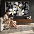 Plumeria Frangipani Black Stone Canvas | White Flower Spa by MyGreatCanvas | Canvas Wall Art Prints | Photo Prints & Wall Decor