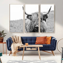 Newfoundland Cow Art Wall Art, Black White Cow Art Wall Art