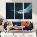 Swimmer Wall Art Canvas Print