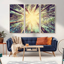Tree and Sunshine Canvas Print