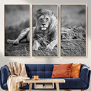 King Forest Lion Wall Art Canvas Print – Framed Majestic by MyGreatCanvas | Canvas Wall Art Prints | Photo Prints & Wall Decor