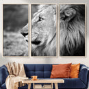 Lion Wall Art Canvas Print – Framed Majestic Wildlife by MyGreatCanvas | Canvas Wall Art Prints | Photo Prints & Wall Decor